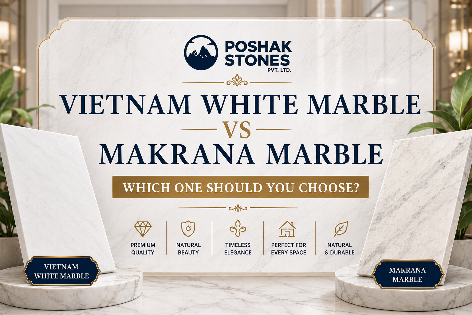 Vietnam White Marble vs Makrana Marble